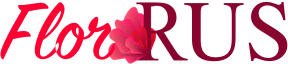 Доставка цветов Суоярви